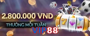 VIP88