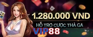 VIP88