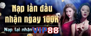 VIP88