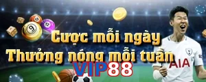 VIP88